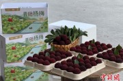梦见殴打高速赋能产业升级：一条“杨梅路”的致富密码