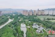 梦见殴打西宁市举办六五环境日主题宣传活动